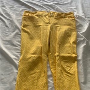 Yellow and white polka dot straight leg pants
